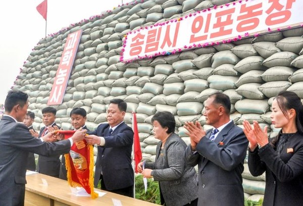 송림시 인포농장 결산분배 ⓒ로동신문